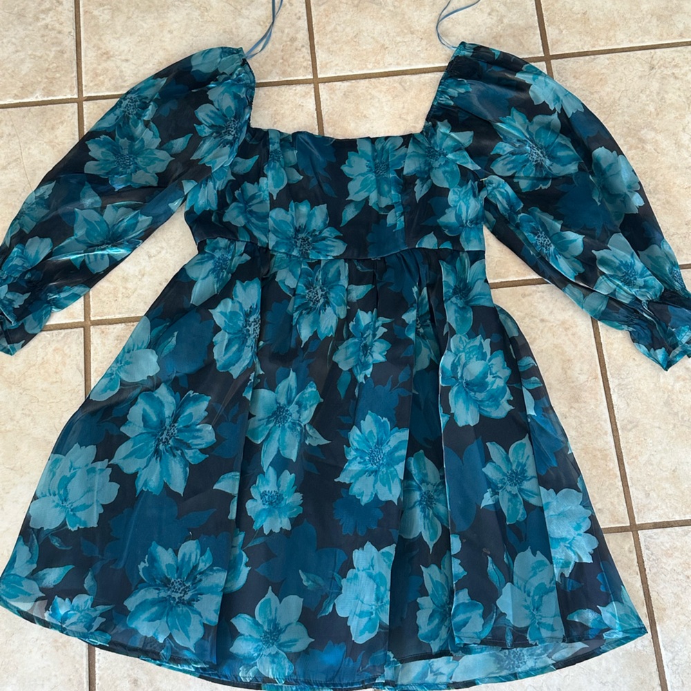 Thirty Thirty Floral Blue Dress with Long Sleeves